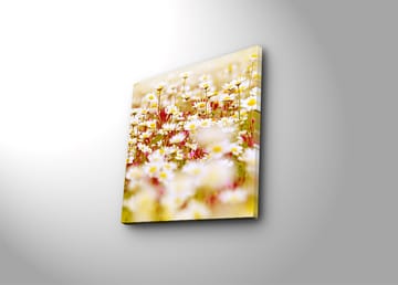 Dekorativ Canvastavla 45x45 cm - Flerfärgad - Inredning - Tavlor & posters - Canvastavla