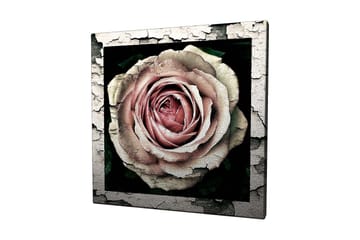 Dekorativ Canvastavla 45x45 cm - Flerfärgad - Inredning - Tavlor & posters - Canvastavla