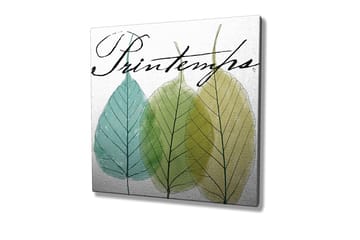 Dekorativ Canvastavla 45x45 cm - Flerf�ärgad - Inredning - Tavlor & posters - Canvastavla