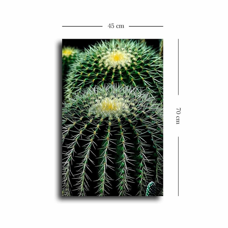 Dekorativ Canvastavla 45x70 cm - Flerfärgad - Inredning - Tavlor & posters - Canvastavla