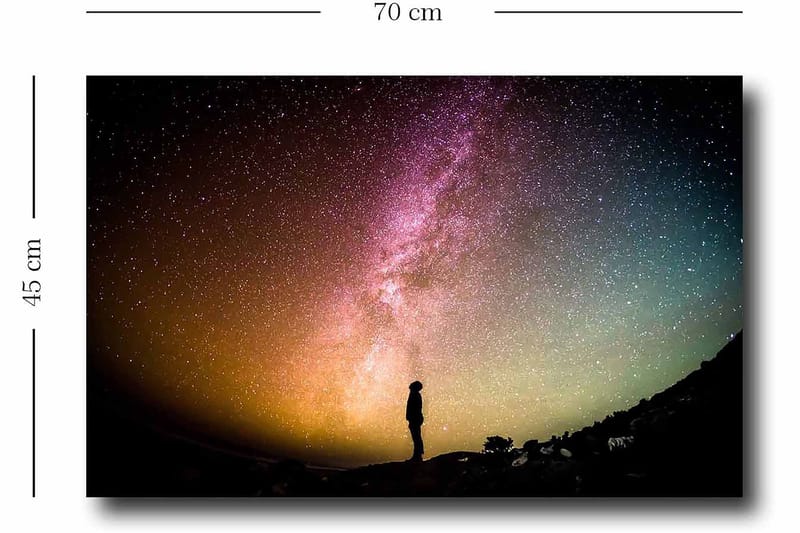 Dekorativ Canvastavla 45x70 cm - Flerfärgad - Inredning - Tavlor & posters - Canvastavla