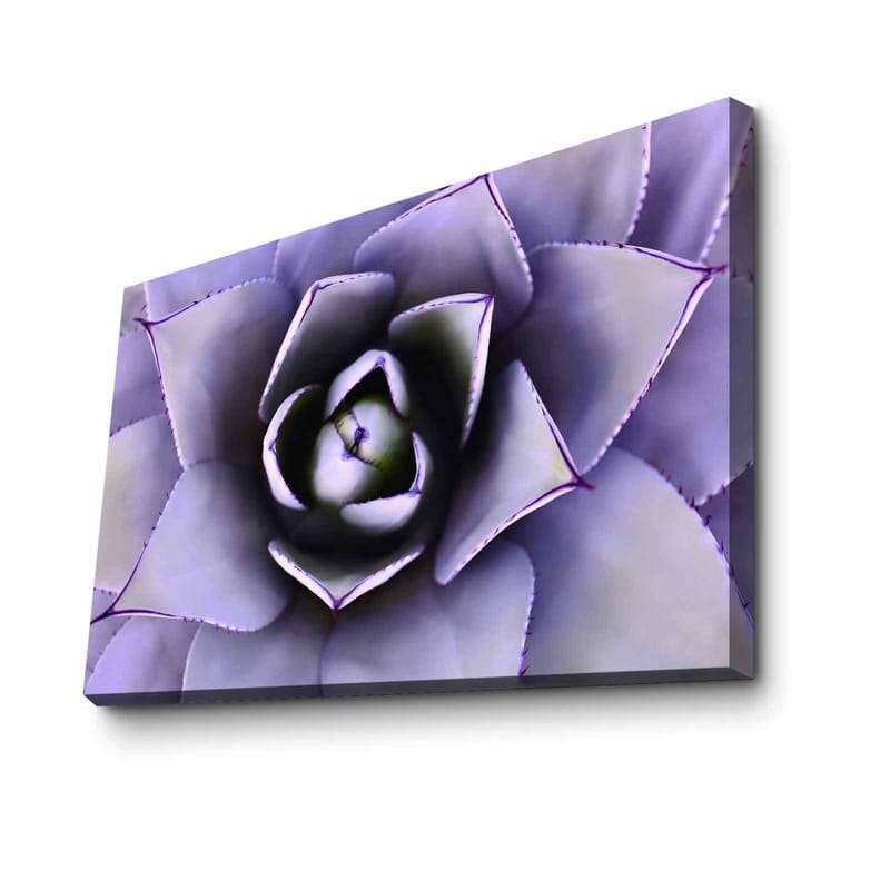 Dekorativ Canvastavla 45x70 cm, Flerfärgad