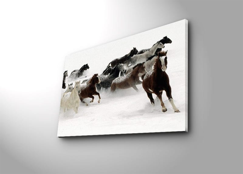 Dekorativ Canvastavla 45x70 cm, Flerfärgad