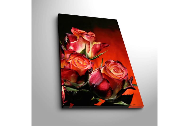 Dekorativ Canvastavla 45x70 cm - Flerfärgad - Inredning - Tavlor & posters - Canvastavla