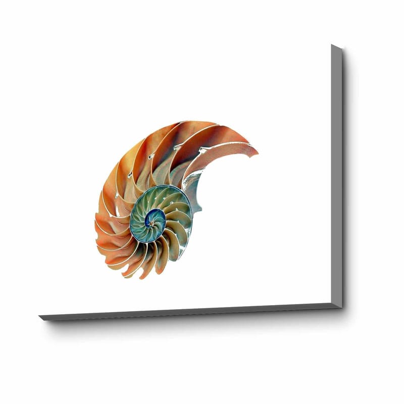 Dekorativ Canvastavla 45x70 cm, Flerfärgad