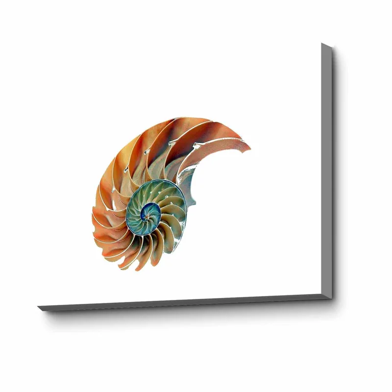 Dekorativ Canvastavla 45x70 cm, Flerfärgad