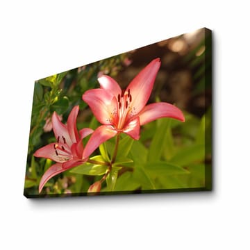 Dekorativ Canvastavla 45x70 cm - Flerfärgad - Inredning - Tavlor & posters - Canvastavla