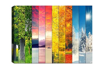 Dekorativ Canvastavla 50x70 cm - Flerfärgad - Inredning - Tavlor & posters - Canvastavla