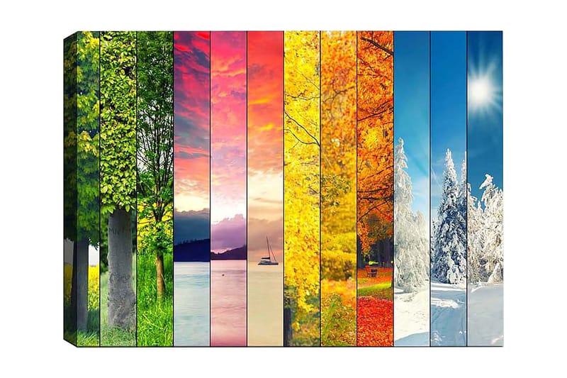 Dekorativ Canvastavla 50x70 cm - Flerfärgad - Inredning - Tavlor & posters - Canvastavla