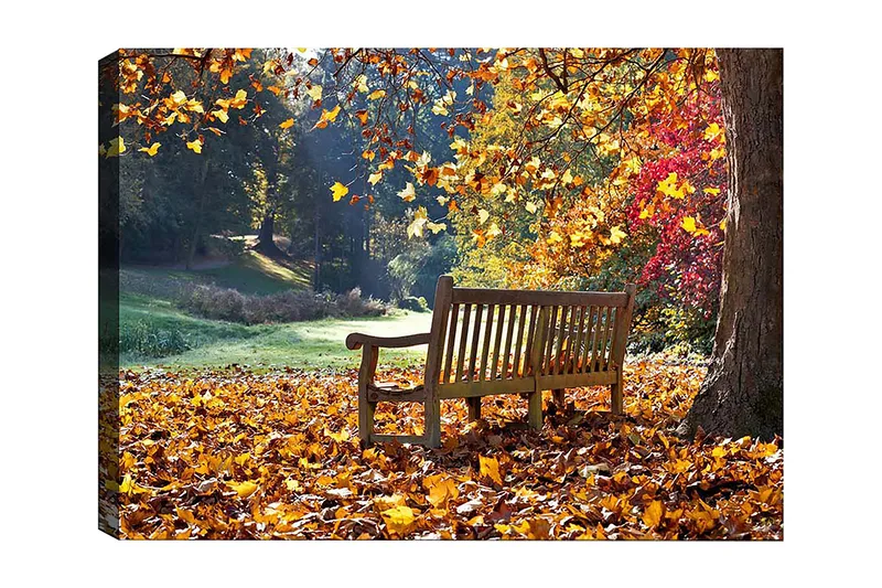 Dekorativ Canvastavla 50x70 cm, Flerfärgad