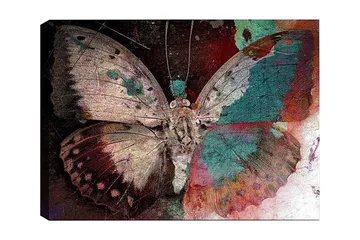 Dekorativ Canvastavla 50x70 cm - Flerfärgad - Inredning - Tavlor & posters - Canvastavla