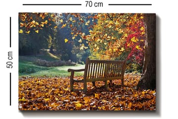 Dekorativ Canvastavla 50x70 cm - Flerfärgad - Inredning - Tavlor & posters - Canvastavla