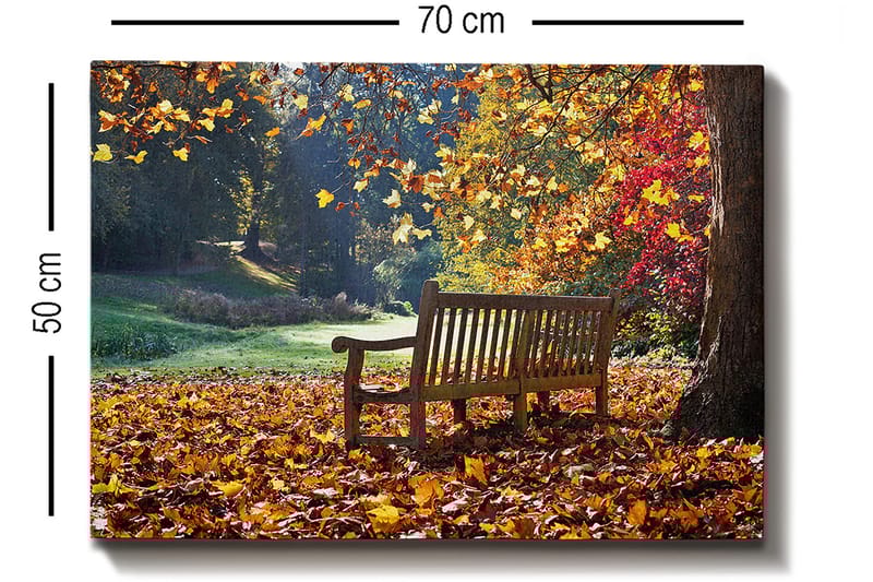 Dekorativ Canvastavla 50x70 cm - Flerfärgad - Inredning - Tavlor & posters - Canvastavla