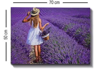 Dekorativ Canvastavla 50x70 cm - Flerfärgad - Inredning - Tavlor & posters - Canvastavla