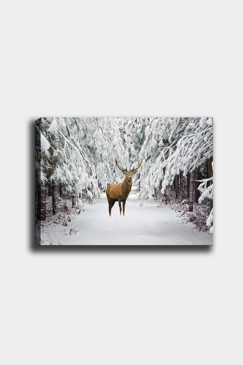 Dekorativ Canvastavla 50x70 cm - Flerfärgad - Inredning - Tavlor & posters - Canvastavla