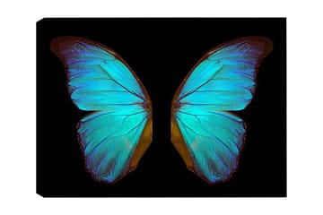 Dekorativ Canvastavla 50x70 cm - Flerfärgad - Inredning - Tavlor & posters - Canvastavla