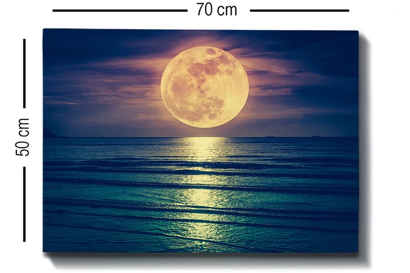 Dekorativ Canvastavla 50x70 cm - Flerfärgad - Inredning - Tavlor & posters - Canvastavla