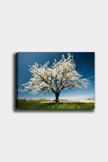 Dekorativ Canvastavla 50x70 cm - Flerfärgad - Inredning - Tavlor & posters - Canvastavla