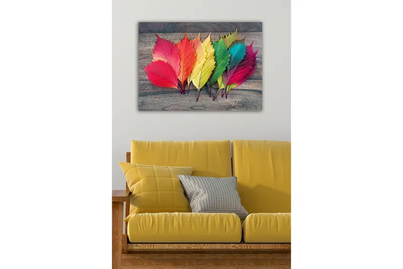 Dekorativ Canvastavla 50x70 cm, Flerfärgad