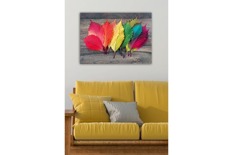 Dekorativ Canvastavla 50x70 cm, Flerfärgad