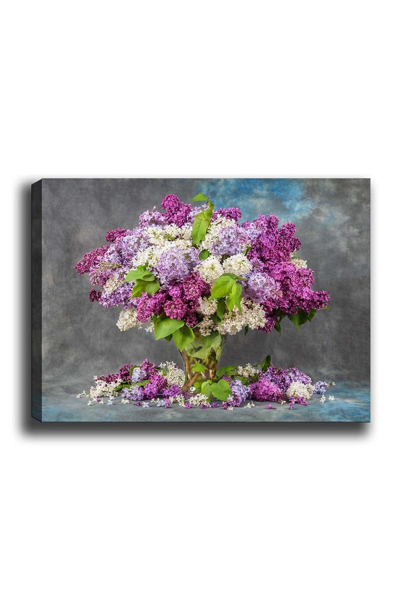 Dekorativ Canvastavla 50x70 cm, Flerfärgad