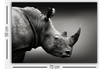 Dekorativ Canvastavla 50x70 cm - Flerfärgad - Inredning - Tavlor & posters - Canvastavla