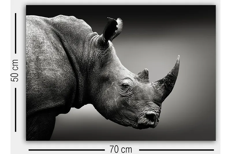 Dekorativ Canvastavla 50x70 cm - Flerfärgad - Inredning - Tavlor & posters - Canvastavla