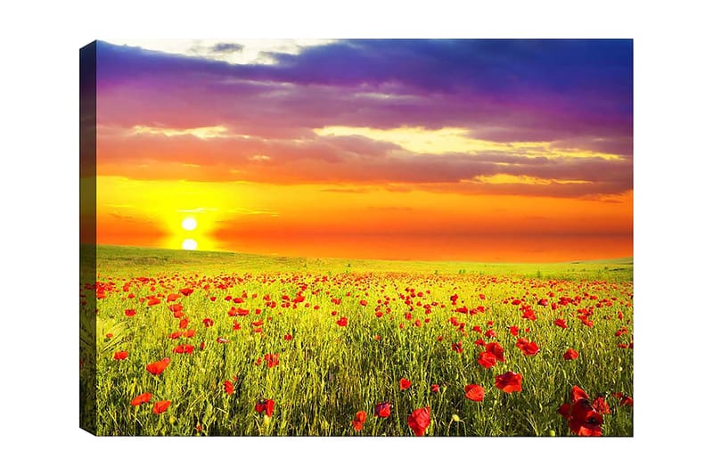 Dekorativ Canvastavla 50x70 cm, Flerfärgad