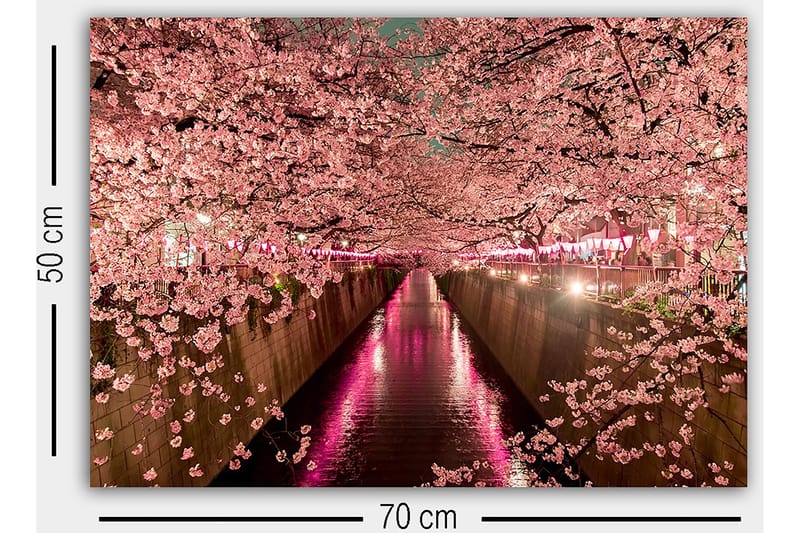 Dekorativ Canvastavla 50x70 cm - Flerfärgad - Inredning - Tavlor & posters - Canvastavla