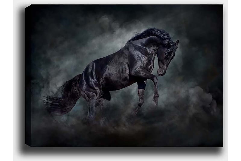 Dekorativ Canvastavla 50x70 cm - Flerfärgad - Inredning - Tavlor & posters - Canvastavla