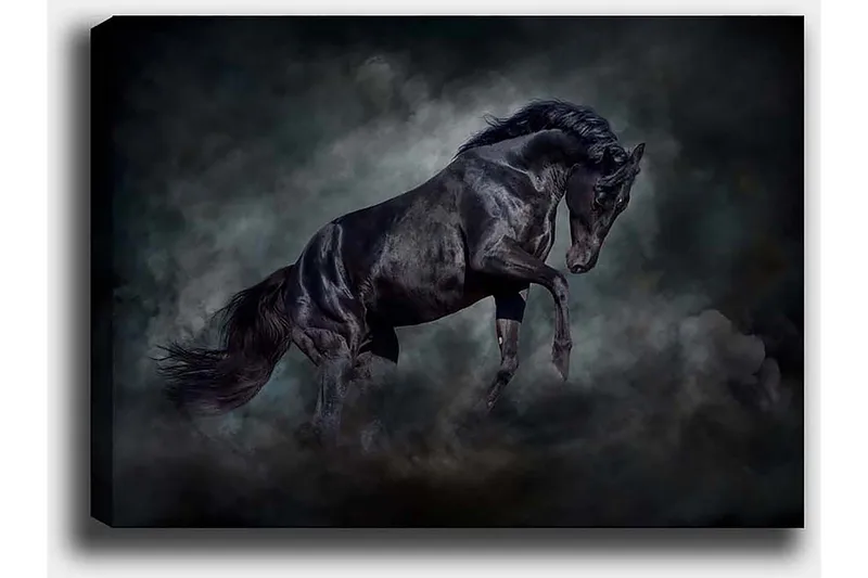 Dekorativ Canvastavla 50x70 cm - Flerfärgad - Inredning - Tavlor & posters - Canvastavla