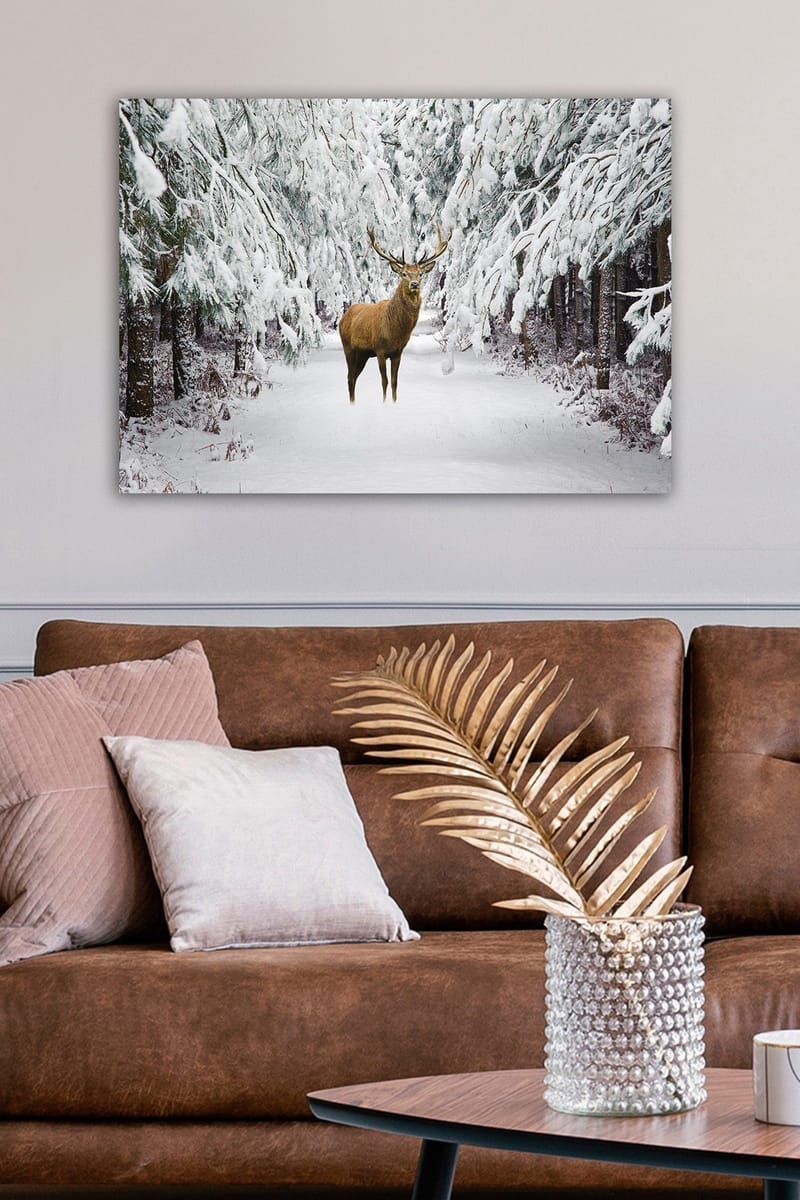 Dekorativ Canvastavla 50x70 cm - Flerfärgad - Inredning - Tavlor & posters - Canvastavla