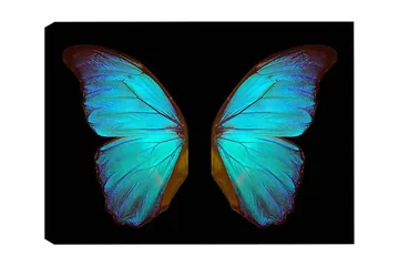 Dekorativ Canvastavla 50x70 cm - Flerfärgad - Inredning - Tavlor & posters - Canvastavla