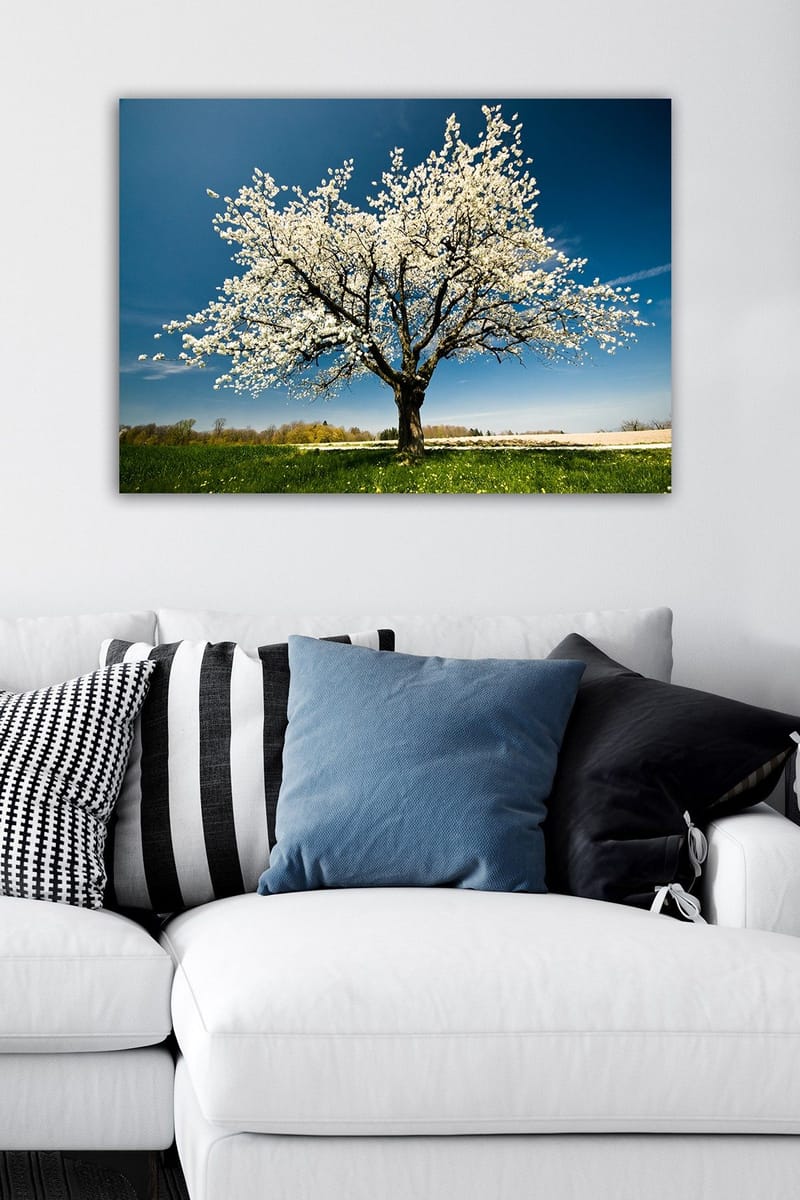 Dekorativ Canvastavla 50x70 cm - Flerfärgad - Inredning - Tavlor & posters - Canvastavla