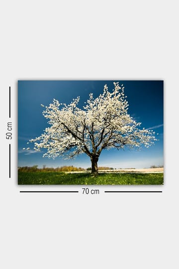 Dekorativ Canvastavla 50x70 cm - Flerfärgad - Inredning - Tavlor & posters - Canvastavla