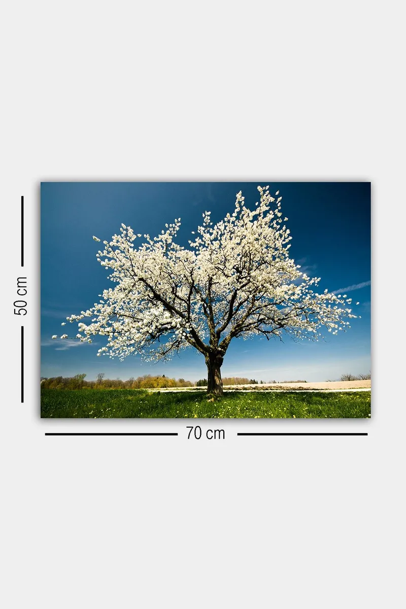 Dekorativ Canvastavla 50x70 cm - Flerfärgad - Inredning - Tavlor & posters - Canvastavla