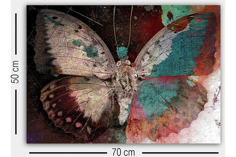 Dekorativ Canvastavla 50x70 cm - Flerfärgad - Inredning - Tavlor & posters - Canvastavla