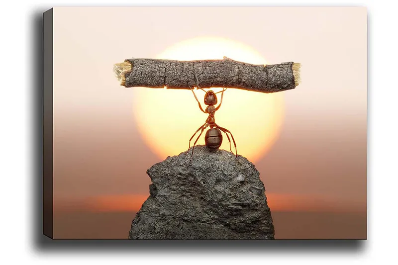 Dekorativ Canvastavla 50x70 cm, Flerfärgad