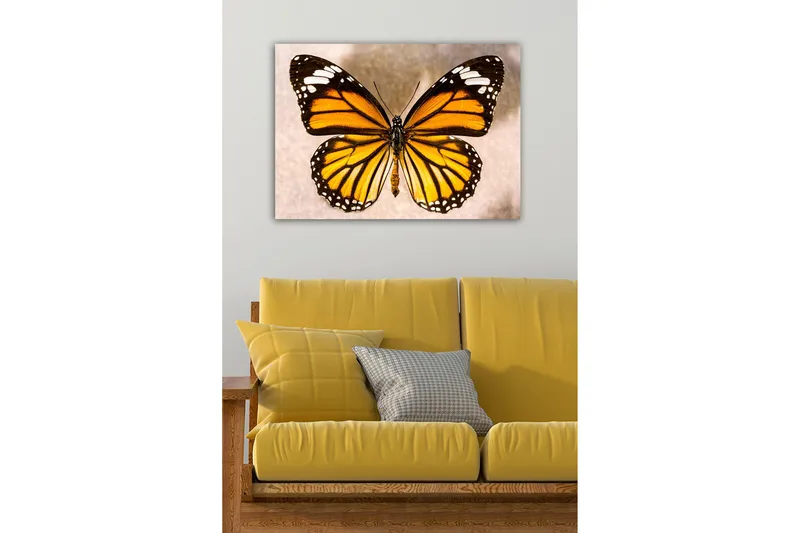 Dekorativ Canvastavla 50x70 cm, Flerfärgad