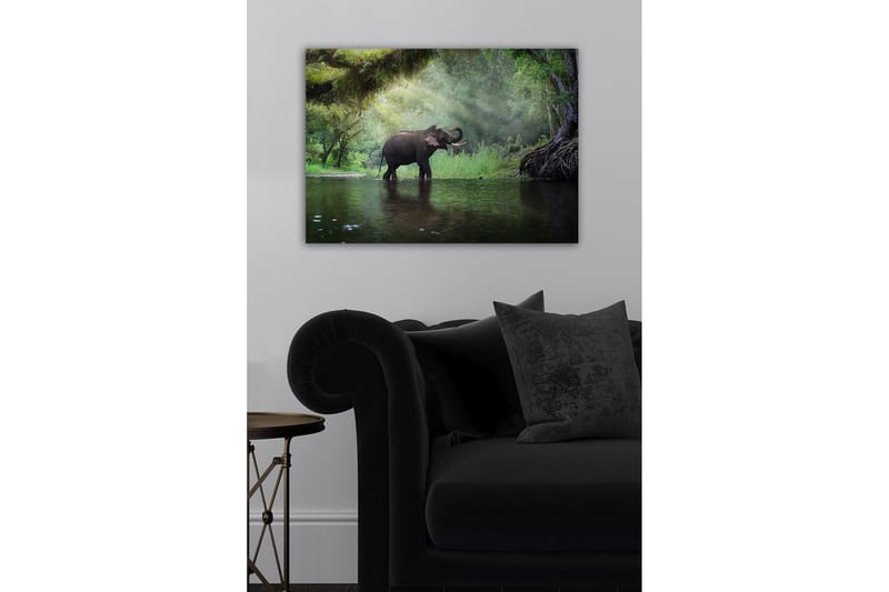 Dekorativ Canvastavla 50x70 cm, Flerfärgad