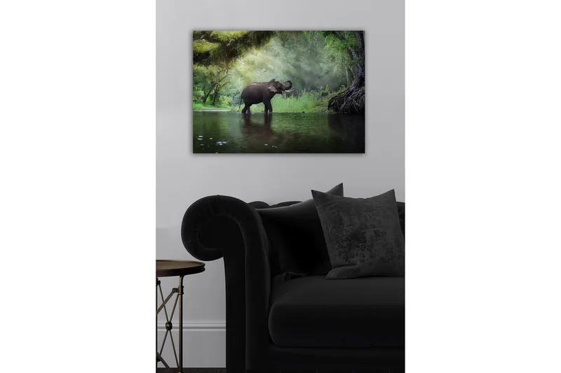 Dekorativ Canvastavla 50x70 cm, Flerfärgad