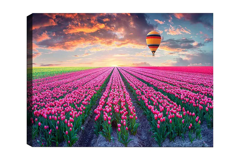 Dekorativ Canvastavla 50x70 cm, Flerfärgad