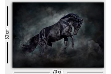 Dekorativ Canvastavla 50x70 cm - Flerfärgad - Inredning - Tavlor & posters - Canvastavla