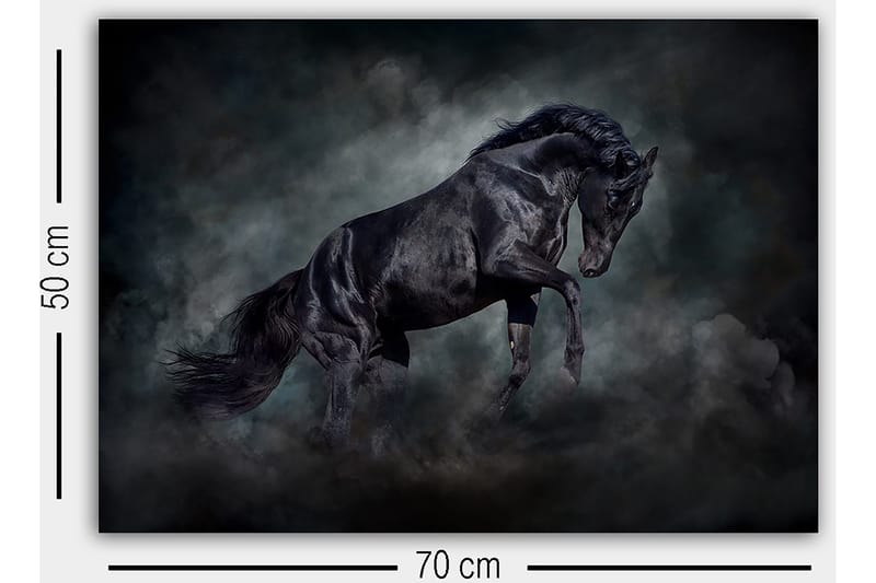 Dekorativ Canvastavla 50x70 cm - Flerfärgad - Inredning - Tavlor & posters - Canvastavla