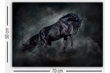 Dekorativ Canvastavla 50x70 cm - Flerfärgad - Inredning - Tavlor & posters - Canvastavla