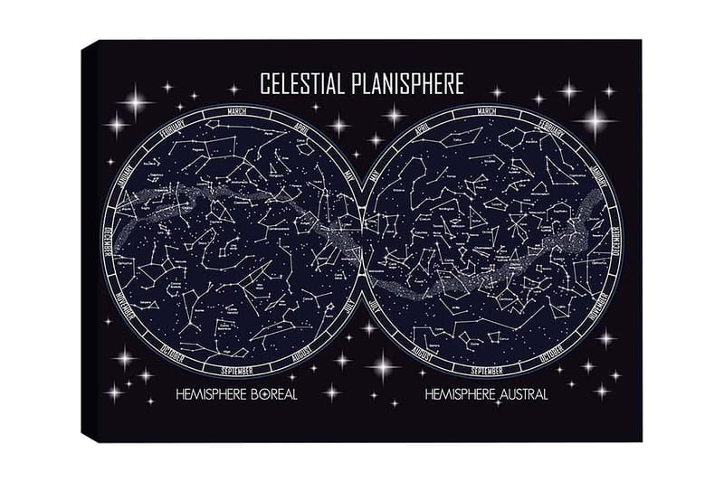 Dekorativ Canvastavla 50x70 cm, Flerfärgad