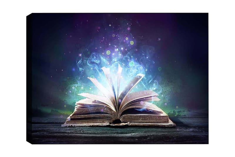 Dekorativ Canvastavla 50x70 cm, Flerfärgad