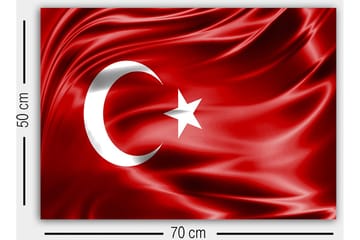 Dekorativ Canvastavla 50x70 cm - Flerfärgad - Inredning - Tavlor & posters - Canvastavla