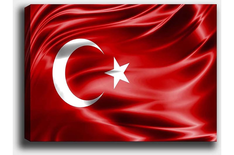 Dekorativ Canvastavla 50x70 cm - Flerfärgad - Inredning - Tavlor & posters - Canvastavla