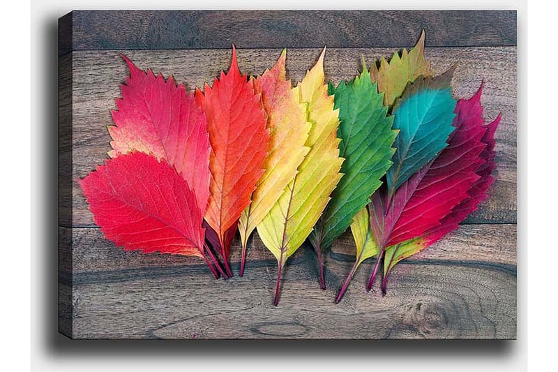 Dekorativ Canvastavla 50x70 cm - Flerfärgad - Inredning - Tavlor & posters - Canvastavla